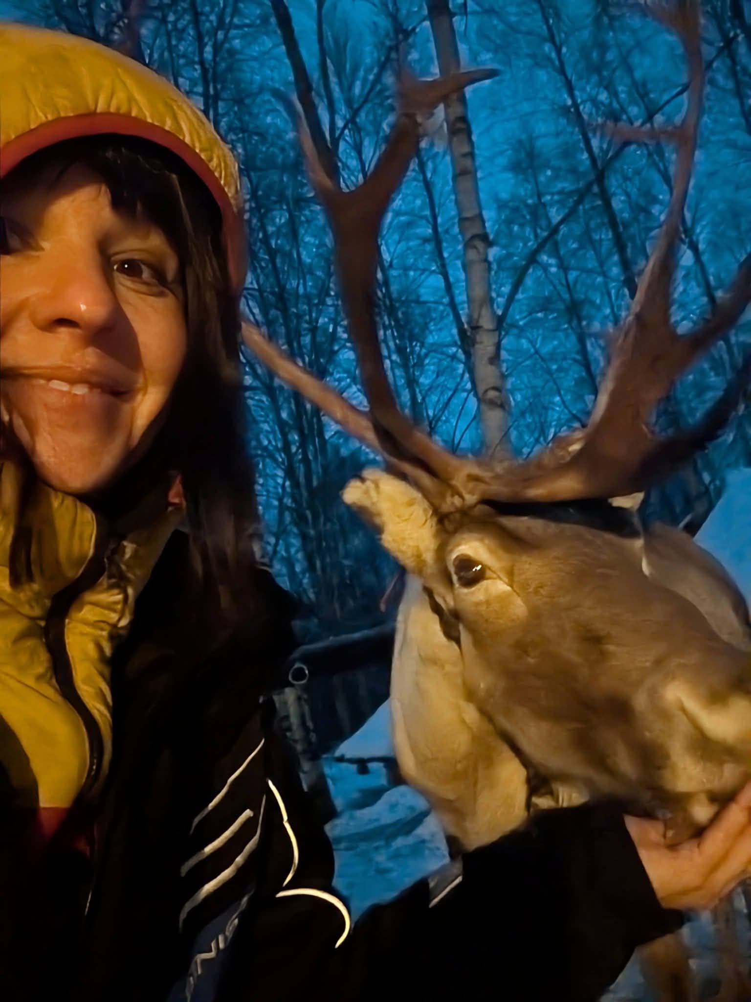 Rennes en Laponie finlandaise